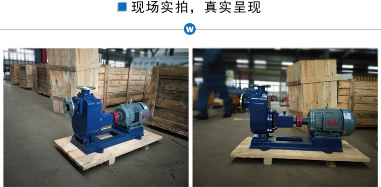 zx不锈钢自吸泵现场实拍.jpg